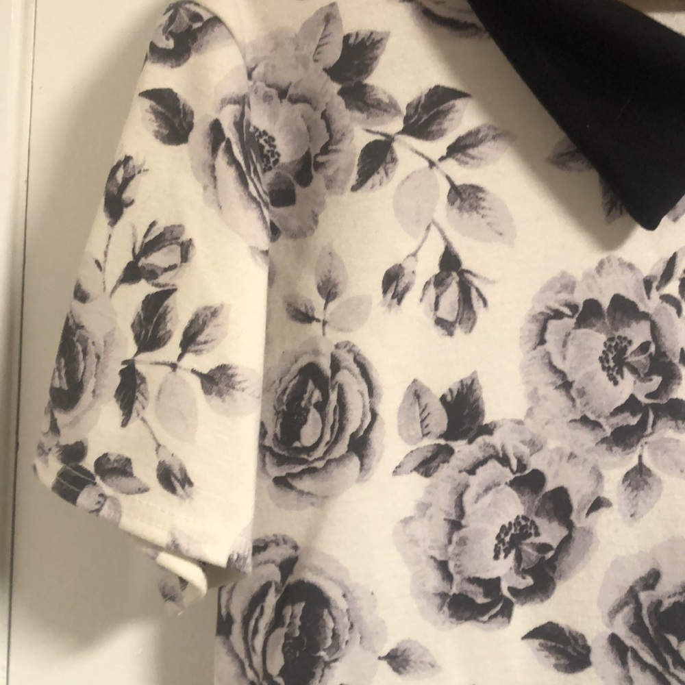 Gray Rose Collared Dress - Picture 3 of 5